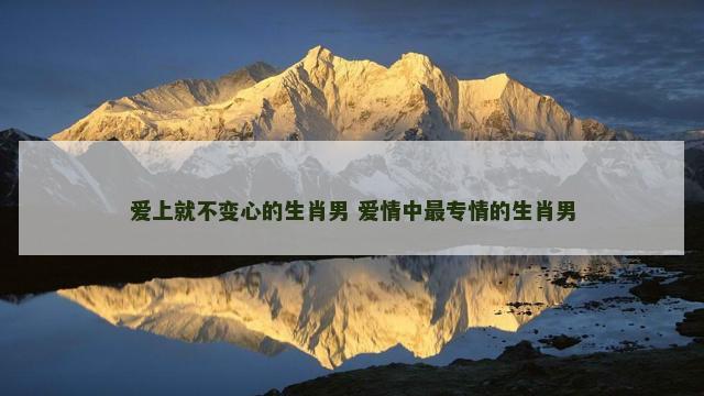 爱上就不变心的生肖男 爱情中最专情的生肖男