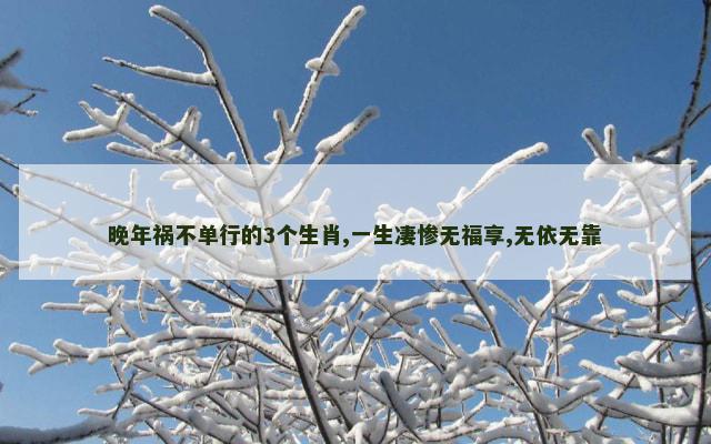 晚年祸不单行的3个生肖,一生凄惨无福享,无依无靠