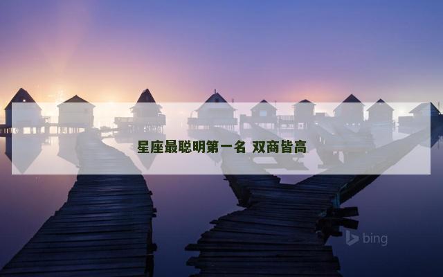 星座最聪明第一名 双商皆高