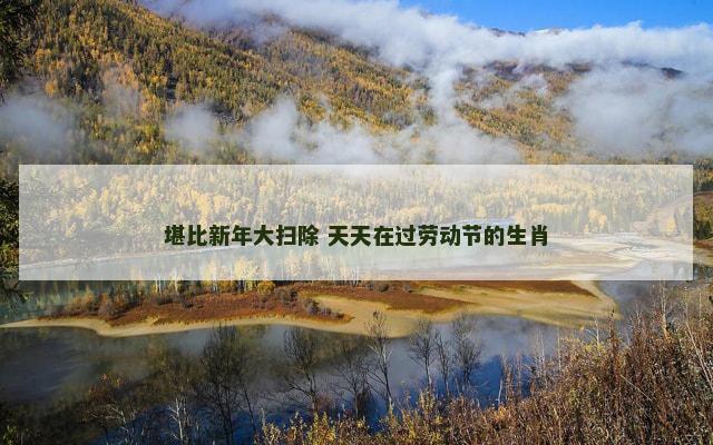 堪比新年大扫除 天天在过劳动节的生肖