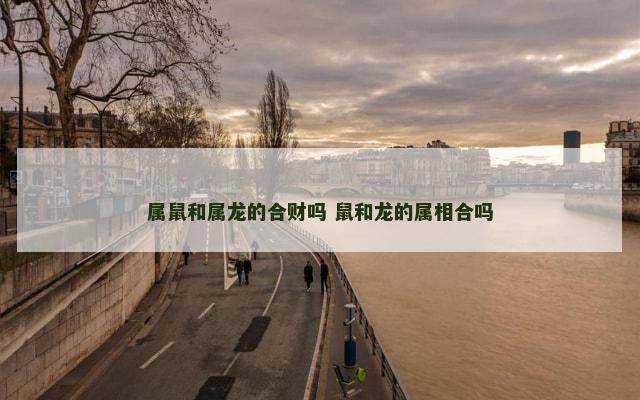 属鼠和属龙的合财吗 鼠和龙的属相合吗