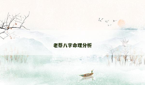 老蔡八字命理分析