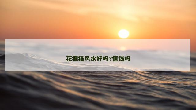 花狸猫风水好吗?值钱吗