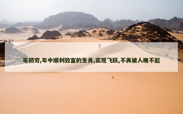 年初穷,年中顺利致富的生肖,实现飞跃,不再被人瞧不起