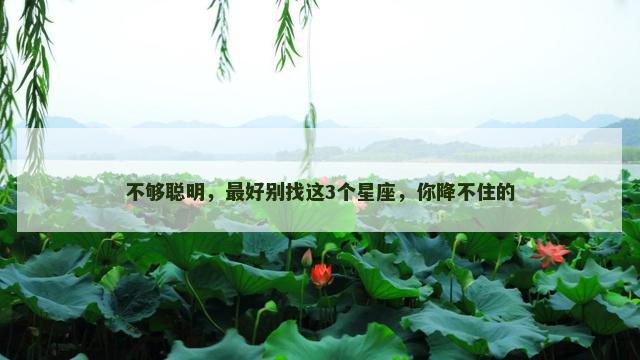 不够聪明，最好别找这3个星座，你降不住的