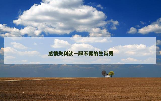 感情失利就一蹶不振的生肖男