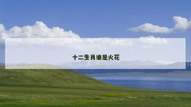 十二生肖谁是火花
