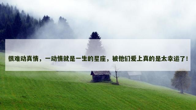 很难动真情，一动情就是一生的星座，被他们爱上真的是太幸运了！