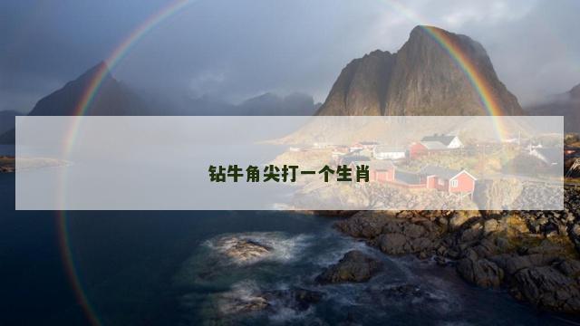 钻牛角尖打一个生肖