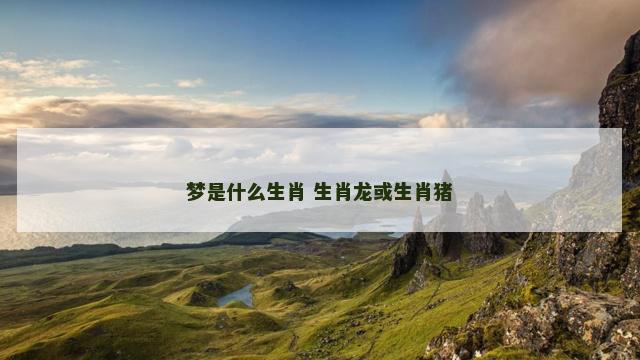 梦是什么生肖 生肖龙或生肖猪