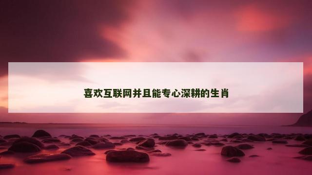喜欢互联网并且能专心深耕的生肖