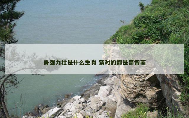 身强力壮是什么生肖 猜对的都是高智商