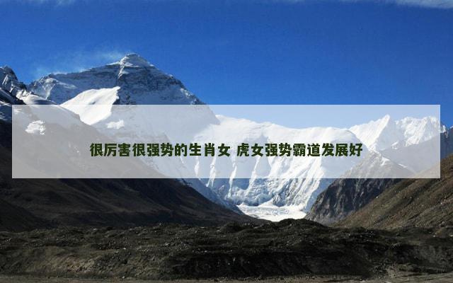 很厉害很强势的生肖女 虎女强势霸道发展好