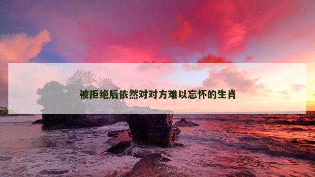 被拒绝后依然对对方难以忘怀的生肖