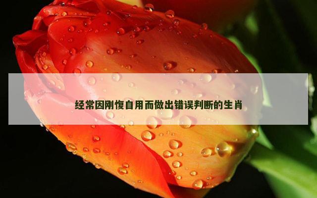 经常因刚愎自用而做出错误判断的生肖