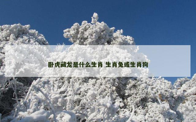 卧虎藏龙是什么生肖 生肖兔或生肖狗
