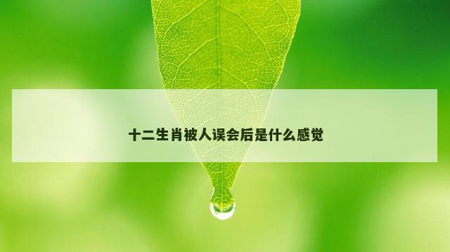 十二生肖被人误会后是什么感觉