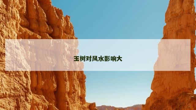 玉树对风水影响大