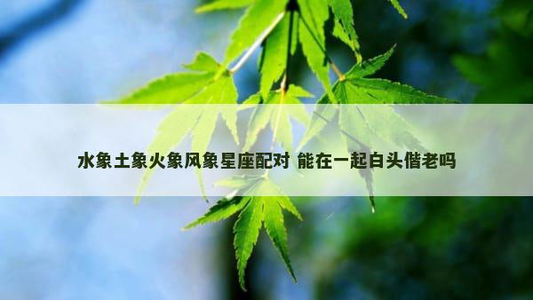 水象土象火象风象星座配对 能在一起白头偕老吗