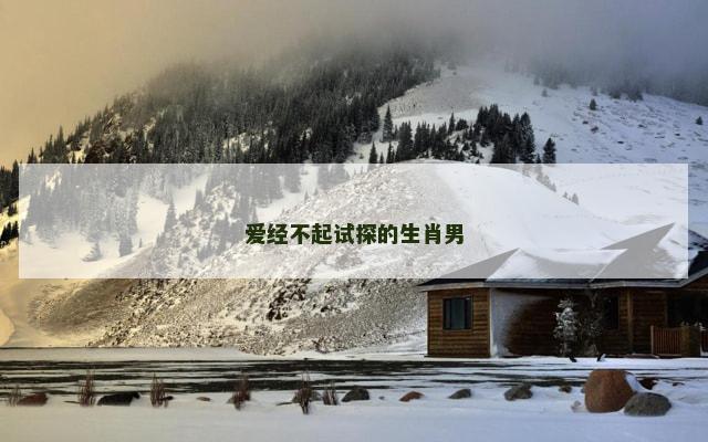 爱经不起试探的生肖男