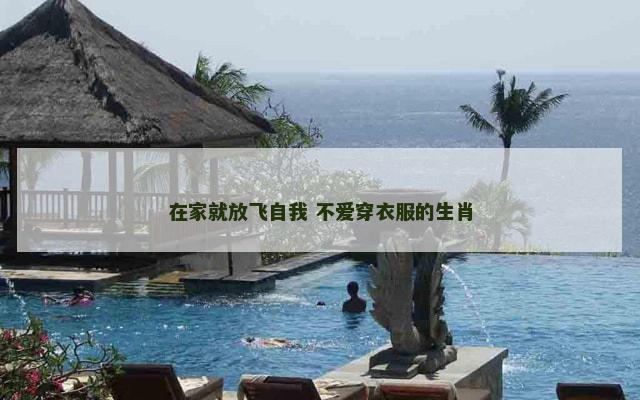在家就放飞自我 不爱穿衣服的生肖
