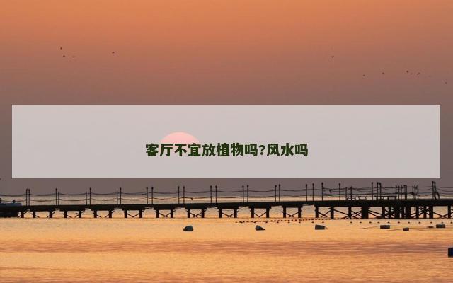 客厅不宜放植物吗?风水吗