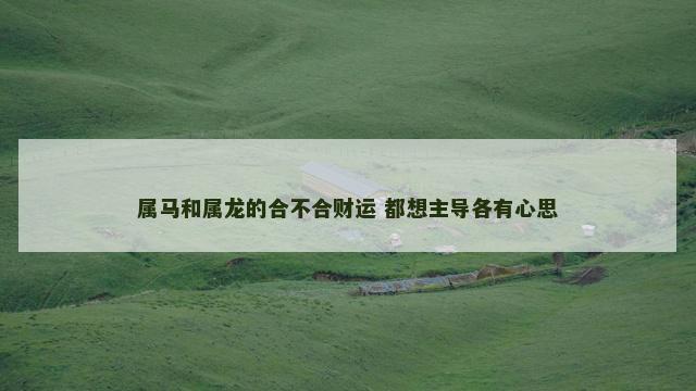 属马和属龙的合不合财运 都想主导各有心思