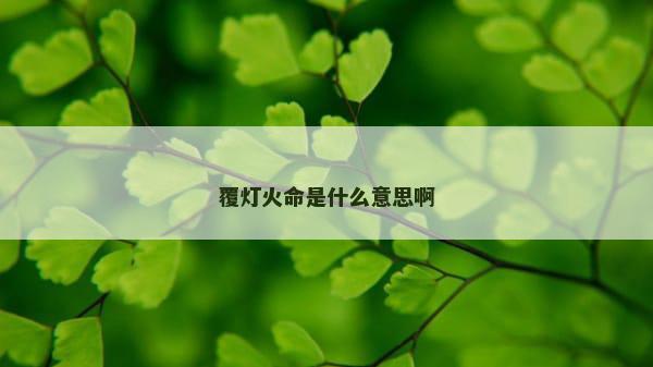 覆灯火命是什么意思啊