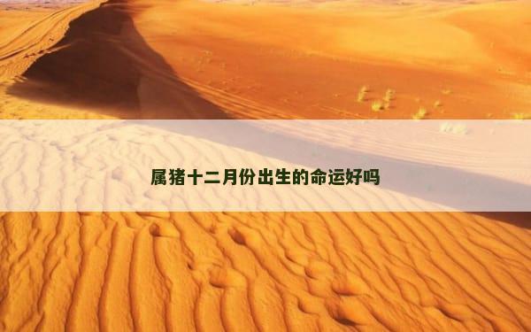 属猪十二月份出生的命运好吗