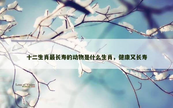 十二生肖最长寿的动物是什么生肖，健康又长寿