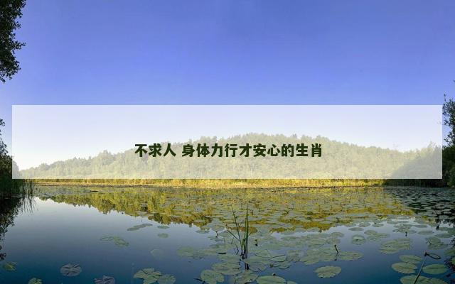 不求人 身体力行才安心的生肖