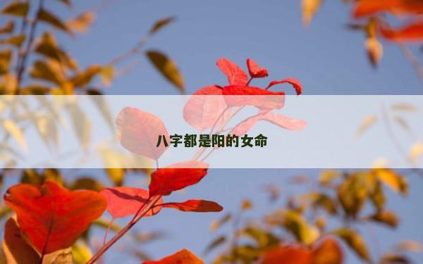 八字都是阳的女命