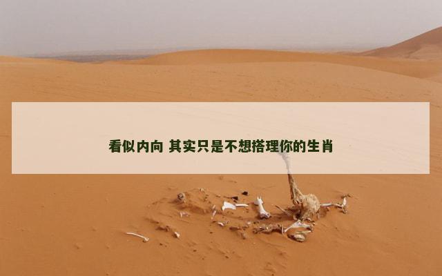 看似内向 其实只是不想搭理你的生肖