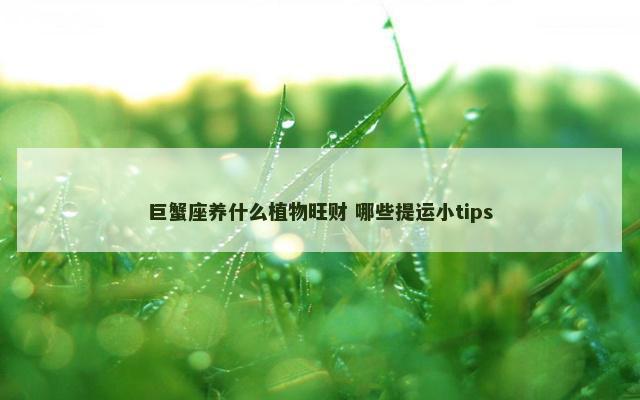 巨蟹座养什么植物旺财 哪些提运小tips