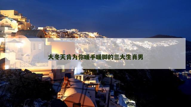大冬天肯为你暖手暖脚的三大生肖男