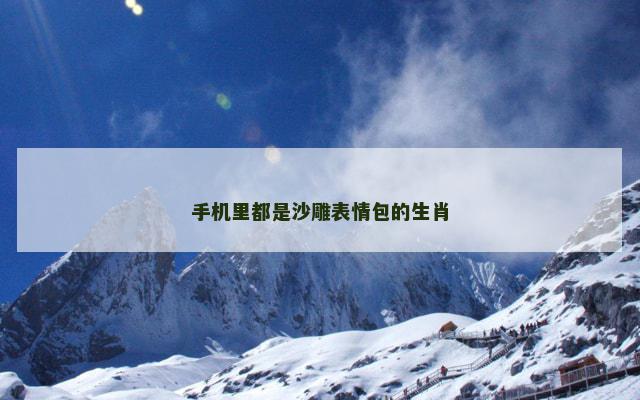 手机里都是沙雕表情包的生肖