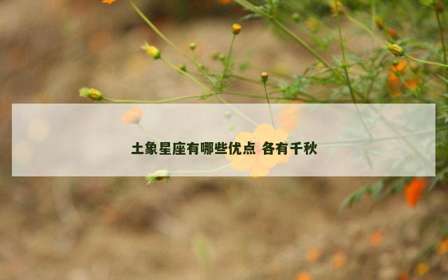 土象星座有哪些优点 各有千秋