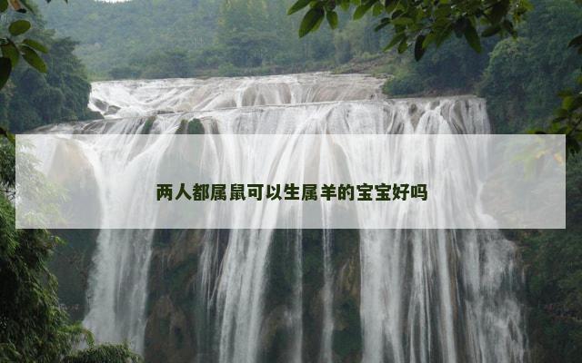 两人都属鼠可以生属羊的宝宝好吗