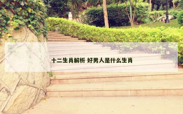 十二生肖解析 好男人是什么生肖
