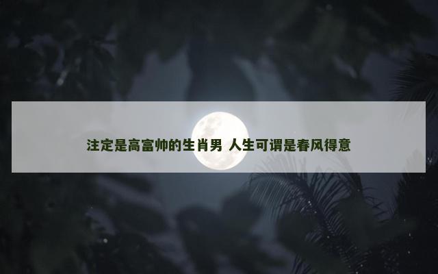 注定是高富帅的生肖男 人生可谓是春风得意
