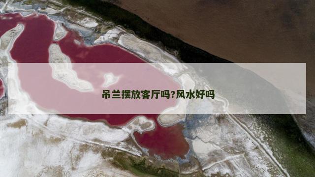 吊兰摆放客厅吗?风水好吗
