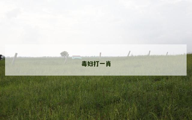 毒妇打一肖