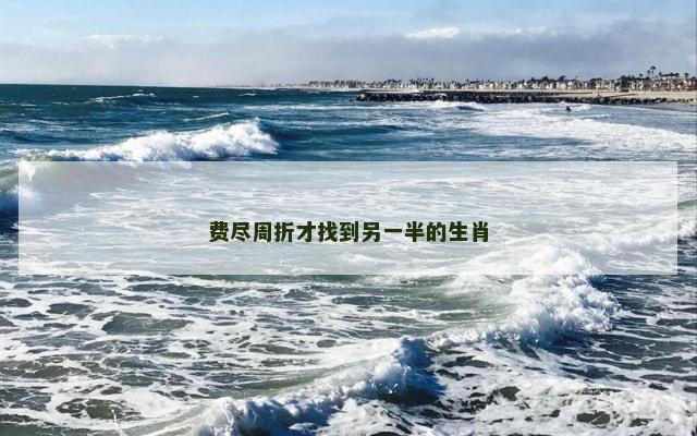 费尽周折才找到另一半的生肖