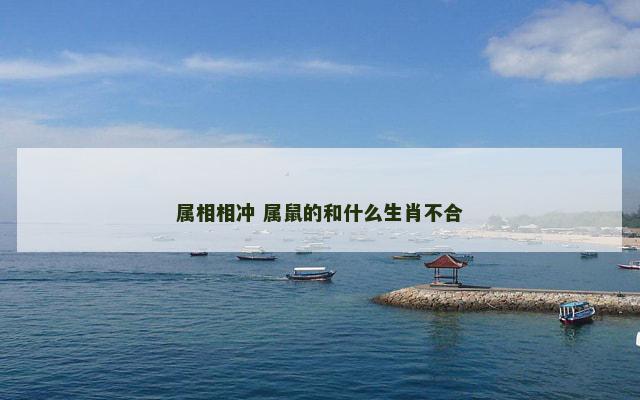 属相相冲 属鼠的和什么生肖不合
