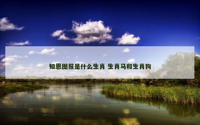 知恩图报是什么生肖 生肖马和生肖狗