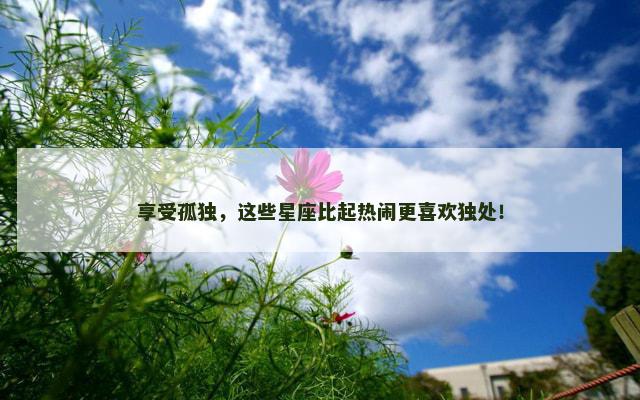 享受孤独，这些星座比起热闹更喜欢独处！