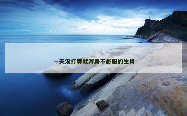 一天没打牌就浑身不舒服的生肖