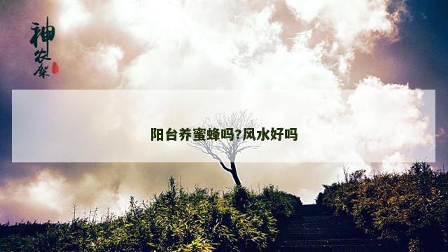 阳台养蜜蜂吗?风水好吗