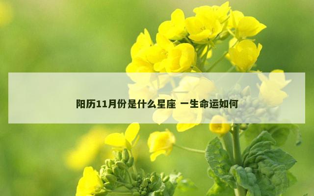 阳历11月份是什么星座 一生命运如何