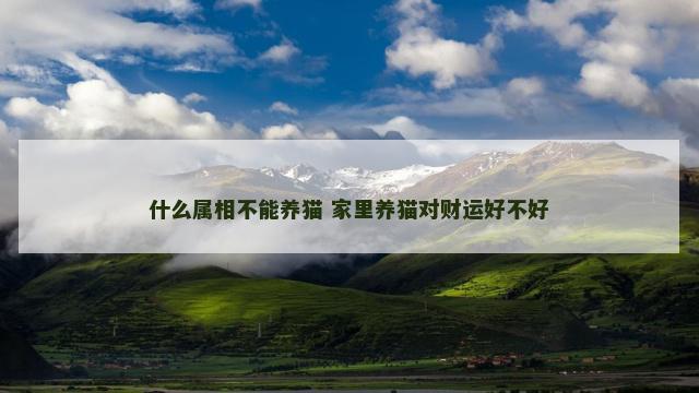 什么属相不能养猫 家里养猫对财运好不好